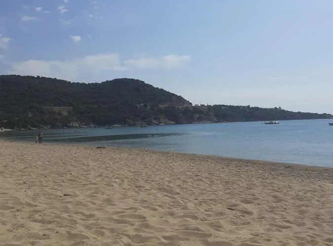 公寓 Aegean Seabreeze Nea Iraklitsa